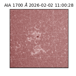 saia - 2026-02-02T11:00:28.717000