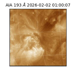 saia - 2026-02-02T01:00:07.347000