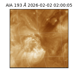 saia - 2026-02-02T02:00:05.337000