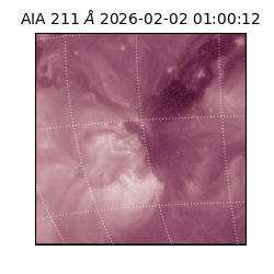 saia - 2026-02-02T01:00:12.641000