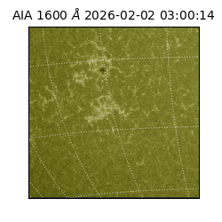 saia - 2026-02-02T03:00:14.125000