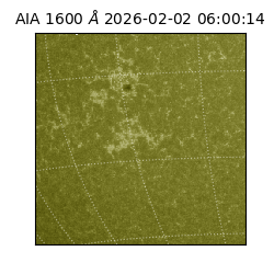 saia - 2026-02-02T06:00:14.125000