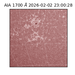 saia - 2026-02-02T23:00:28.718000