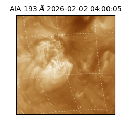 saia - 2026-02-02T04:00:05.627000