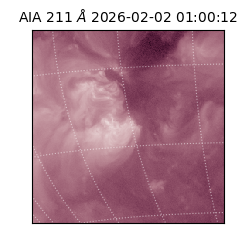 saia - 2026-02-02T01:00:12.641000