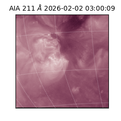 saia - 2026-02-02T03:00:09.623000