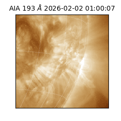 saia - 2026-02-02T01:00:07.347000