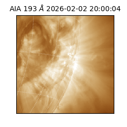 saia - 2026-02-02T20:00:04.835000