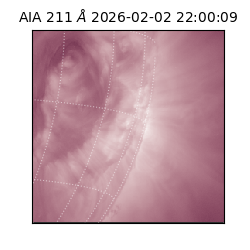 saia - 2026-02-02T22:00:09.631000