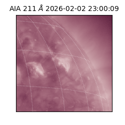 saia - 2026-02-02T23:00:09.631000