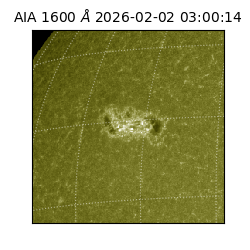 saia - 2026-02-02T03:00:14.125000