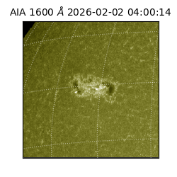 saia - 2026-02-02T04:00:14.129000