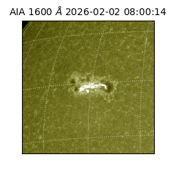 saia - 2026-02-02T08:00:14.126000