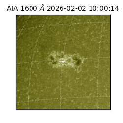 saia - 2026-02-02T10:00:14.126000