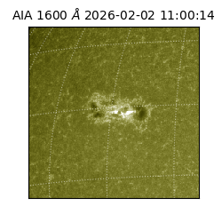 saia - 2026-02-02T11:00:14.126000