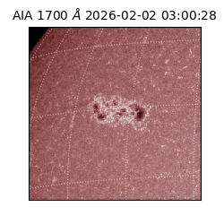 saia - 2026-02-02T03:00:28.717000