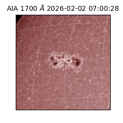 saia - 2026-02-02T07:00:28.717000