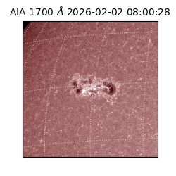 saia - 2026-02-02T08:00:28.717000