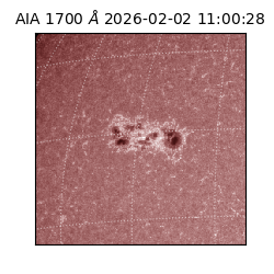 saia - 2026-02-02T11:00:28.717000