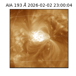 saia - 2026-02-02T23:00:04.843000
