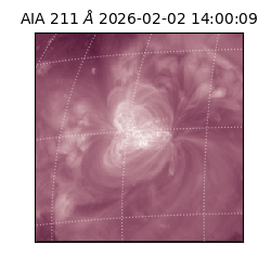 saia - 2026-02-02T14:00:09.626000