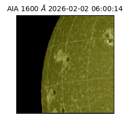 saia - 2026-02-02T06:00:14.125000