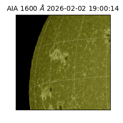 saia - 2026-02-02T19:00:14.132000