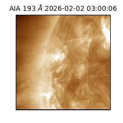 saia - 2026-02-02T03:00:06.711000