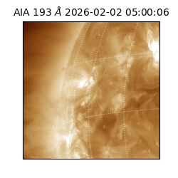 saia - 2026-02-02T05:00:06.110000