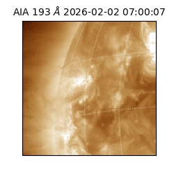 saia - 2026-02-02T07:00:07.032000