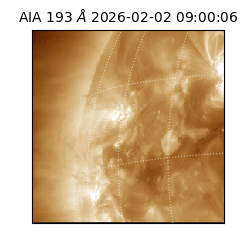 saia - 2026-02-02T09:00:06.421000