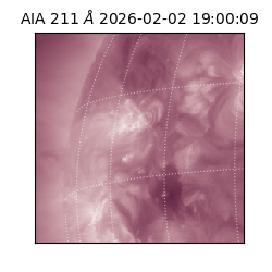 saia - 2026-02-02T19:00:09.626000