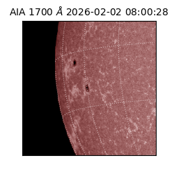 saia - 2026-02-02T08:00:28.717000