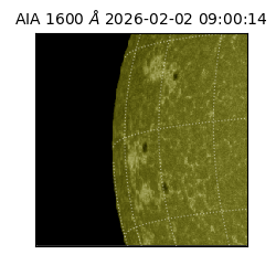 saia - 2026-02-02T09:00:14.129000