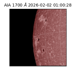 saia - 2026-02-02T01:00:28.717000