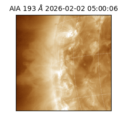 saia - 2026-02-02T05:00:06.110000