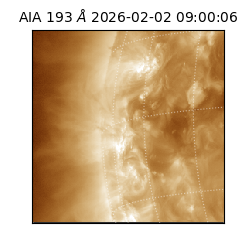 saia - 2026-02-02T09:00:06.421000