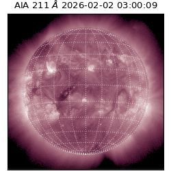 saia - 2026-02-02T03:00:09.623000