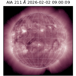 saia - 2026-02-02T09:00:09.624000