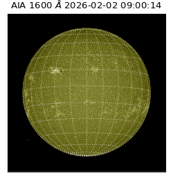 saia - 2026-02-02T09:00:14.129000