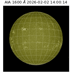 saia - 2026-02-02T14:00:14.126000
