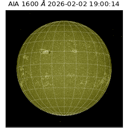 saia - 2026-02-02T19:00:14.132000