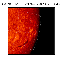 gong - 2026-02-02T02:00:42