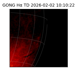 gong - 2026-02-02T10:10:22