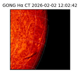 gong - 2026-02-02T12:02:42
