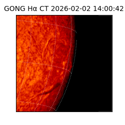 gong - 2026-02-02T14:00:42