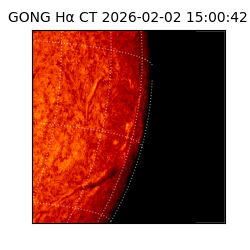 gong - 2026-02-02T15:00:42