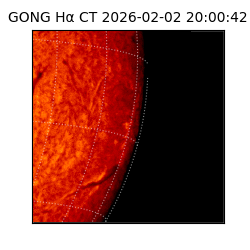 gong - 2026-02-02T20:00:42