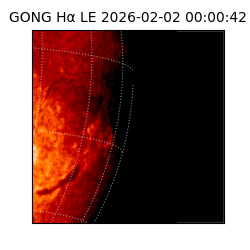 gong - 2026-02-02T00:00:42