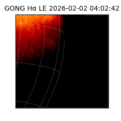 gong - 2026-02-02T04:02:42